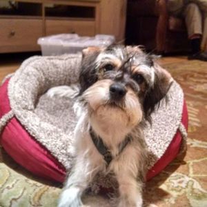 Meet your Posher, Aleta